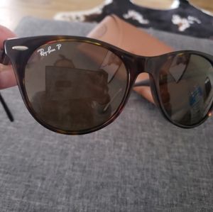 Wayfarer Evolve II Sunglasses